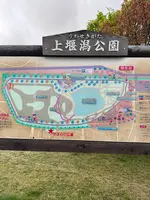 上堰潟公園の写真・動画_image_682445