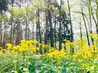 賤ヶ岳隧道の写真・動画_image_683909