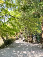 高鴨神社の写真・動画_image_683923