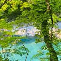 抱返り渓谷の写真・動画_image_685395