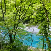 抱返り渓谷の写真・動画_image_685396