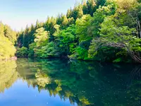 琴滝の写真・動画_image_685988