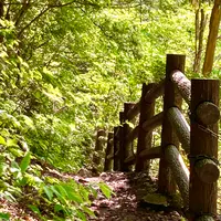 琴滝の写真・動画_image_685990