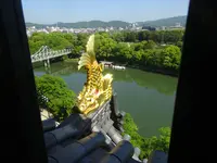 岡山城の写真・動画_image_687416
