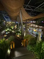 Central Marketの写真・動画_image_688182