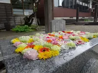 荘内神社の写真・動画_image_689620