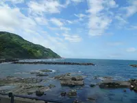 鶴岡市立加茂水族館（クラゲドリーム館）の写真・動画_image_689856