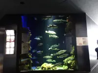 鶴岡市立加茂水族館（クラゲドリーム館）の写真・動画_image_689863