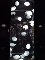 鶴岡市立加茂水族館（クラゲドリーム館）の写真・動画_image_689864