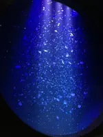 鶴岡市立加茂水族館（クラゲドリーム館）の写真・動画_image_689868