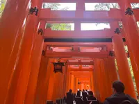 伏見稲荷大社の写真・動画_image_690256