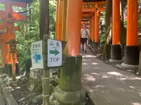 伏見稲荷大社の写真・動画_image_690263