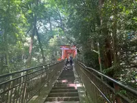 伏見稲荷大社の写真・動画_image_690269