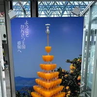 松山空港の写真・動画_image_690350