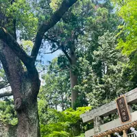 ことのまま八幡宮の写真・動画_image_690474