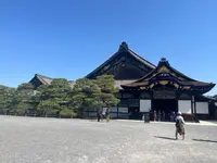 二条城の写真・動画_image_690485