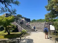 二条城の写真・動画_image_690486