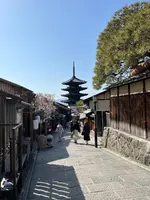 八坂通の写真・動画_image_690511