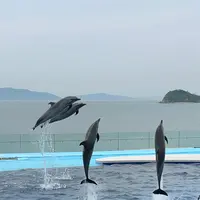 四国水族館の写真・動画_image_691059