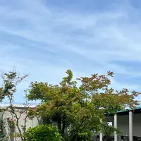 大塚国際美術館の写真・動画_image_691074