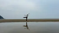 父母ヶ浜海岸の写真・動画_image_691082