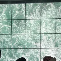 渦の道の写真・動画_image_691083