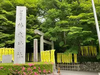 椿大神社の写真・動画_image_691149
