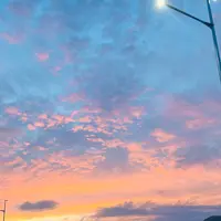 NEOPASA浜松（下り線）の写真・動画_image_691195