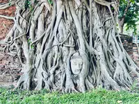 Wat Mahathat（ワット・マハタート）の写真・動画_image_692464