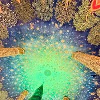Wat Pak Nam（ワット・パークナム）の写真・動画_image_692502