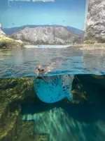 浅虫水族館の写真・動画_image_692862