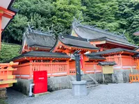八咫烏の写真・動画_image_692926