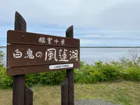 道の駅スワン４４ねむろの写真・動画_image_694299