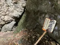 一音灯の写真・動画_image_695276