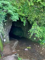 伊尾木洞の写真・動画_image_695325