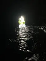 伊尾木洞の写真・動画_image_695331