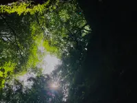 伊尾木洞の写真・動画_image_695332