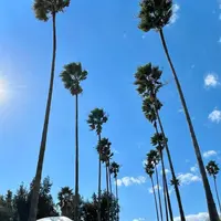 手結港可動橋展望台の写真・動画_image_695403