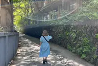伊香保温泉の石段街の写真・動画_image_695732