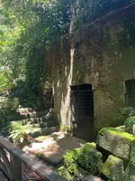 猿島の写真・動画_image_695761