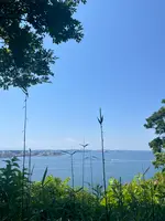 猿島の写真・動画_image_695763