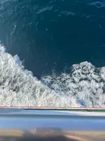 東京湾フェリー久里浜港の写真・動画_image_695771