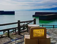 大山岬の写真・動画_image_695862