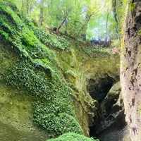 伊尾木洞の写真・動画_image_695868