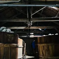 はと屋の写真・動画_image_696668