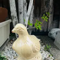 はと屋の写真・動画_image_696669