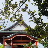 紅樹院の写真・動画_image_696673