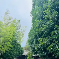紅樹院の写真・動画_image_696675