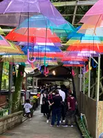 唐船峡そうめん流し市営の写真・動画_image_697066