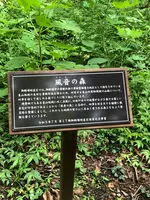 東山旧岸邸の写真・動画_image_697633